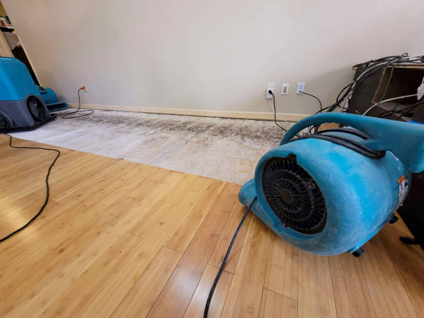 Professional Flood Damage Cleanup technician working in Hecker, IL